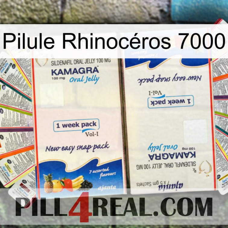 Pilule Rhinocéros 7000 kamagra1